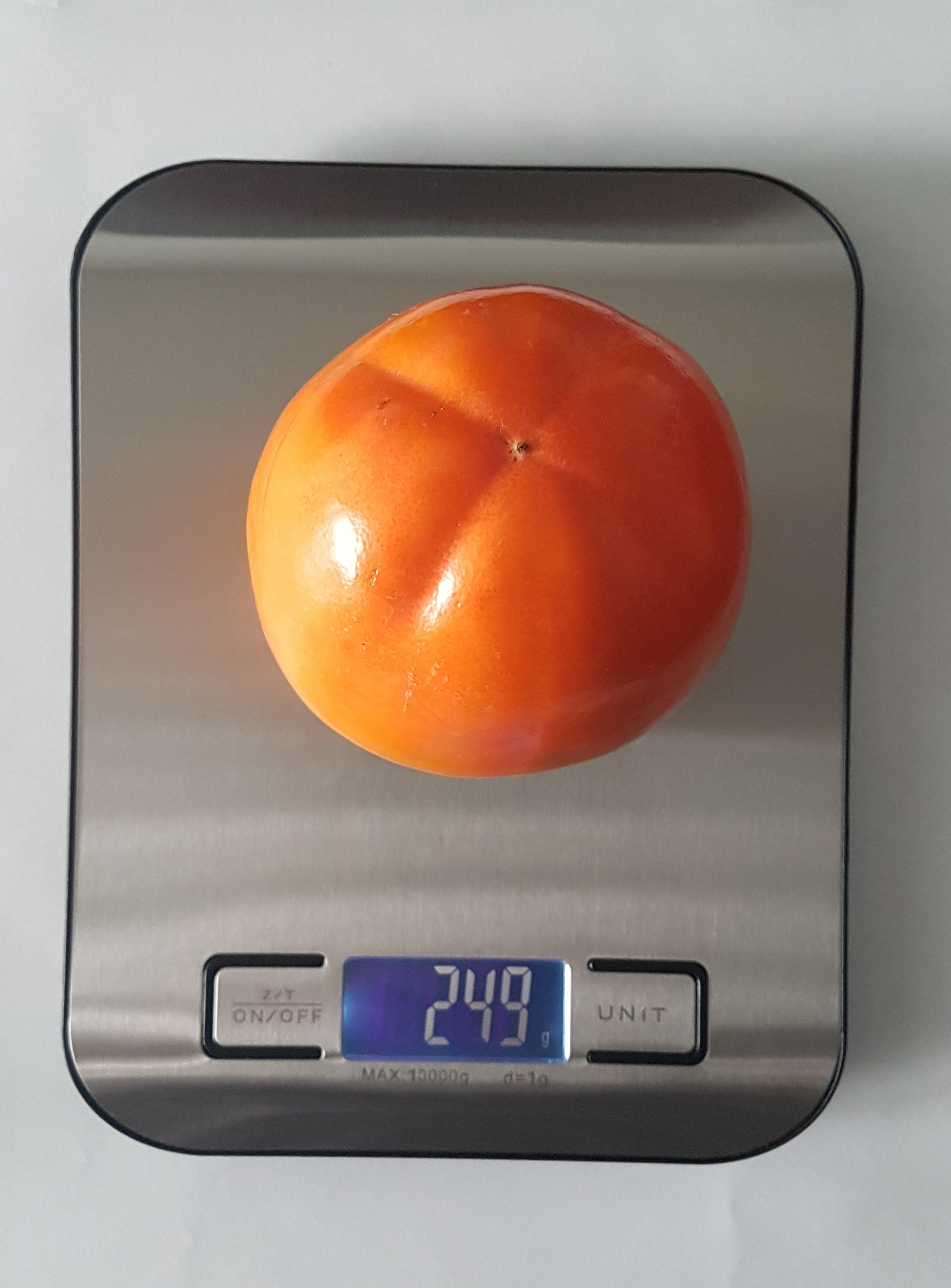 Kitchen Food Scale
